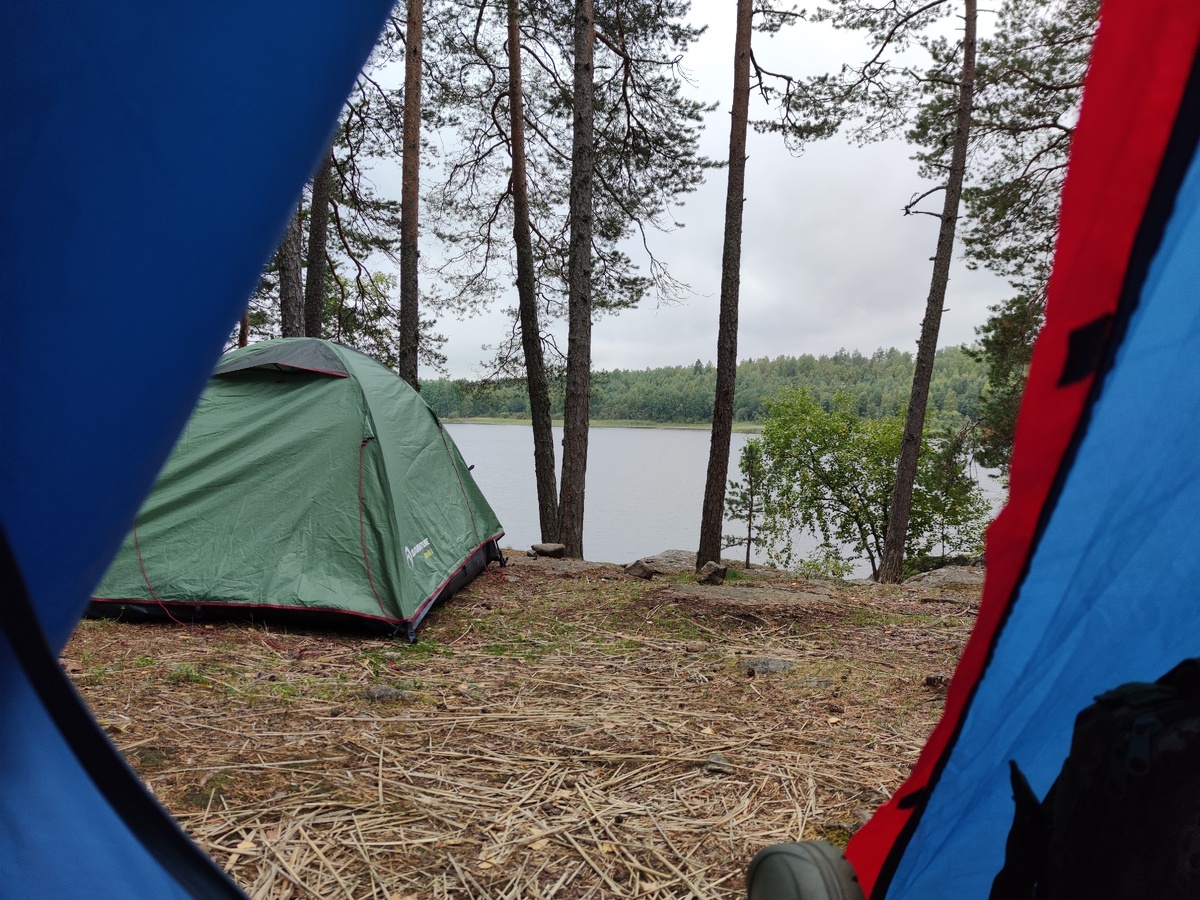 Утро на реке. Фото автора канала.