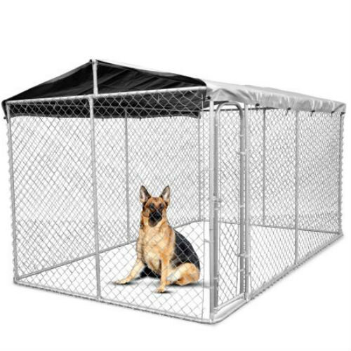 Комфорт и безопасность собаки в вольере