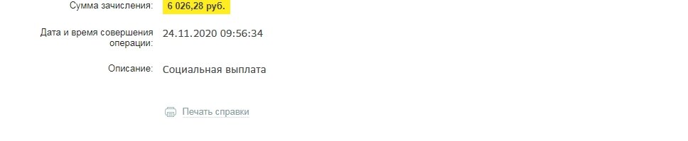 После счета зачисления, а именно скрытого номера моей карты МИР, вот такие записи.