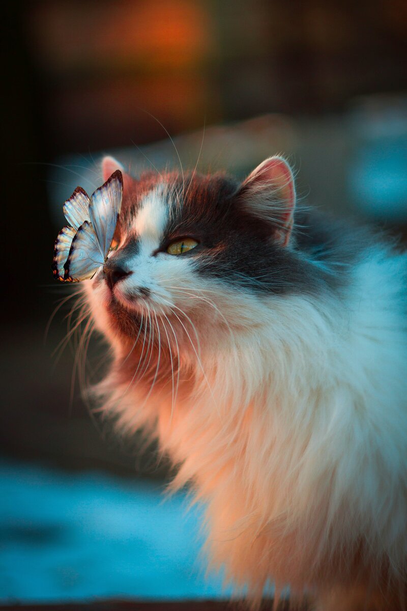 Photo by Karina Vorozheeva on Unsplash 
