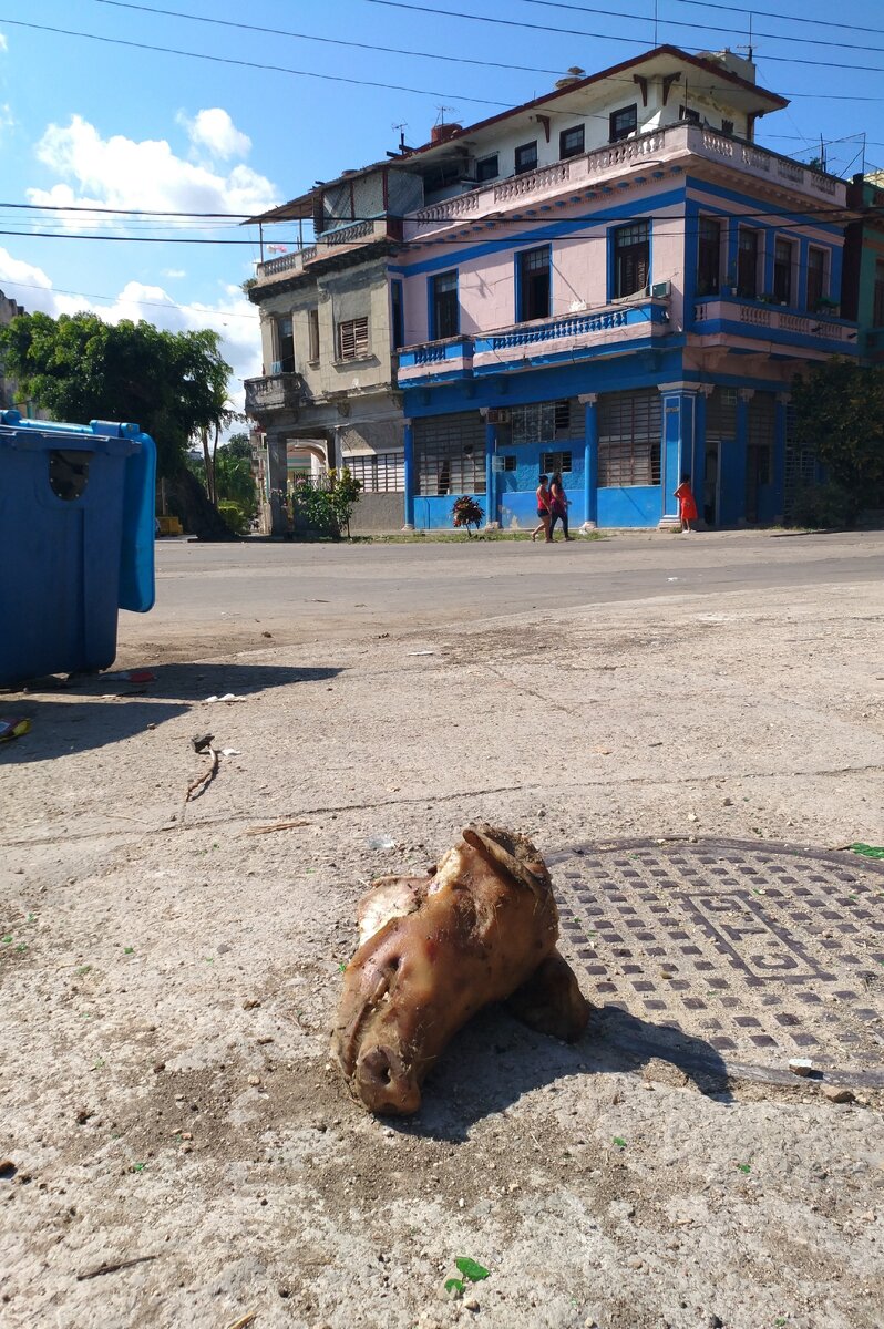 Плохая Куба. Потерянный рай или проклятый остров 😇💀Записки шокриованного  туриста. | Данил Шевяков | Дзен