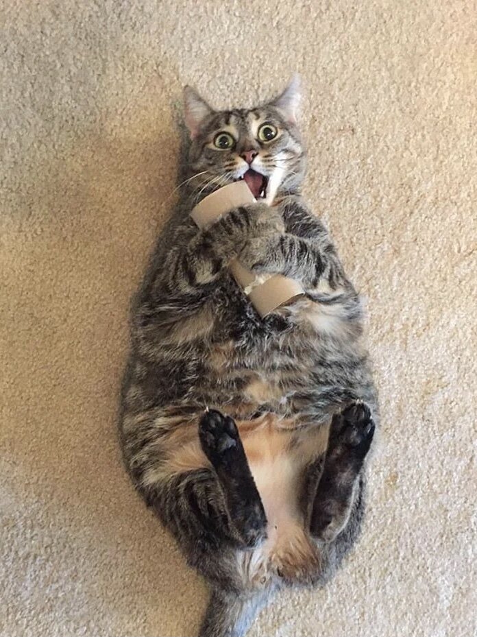 Фото с сервера Яндекс.Картинки
