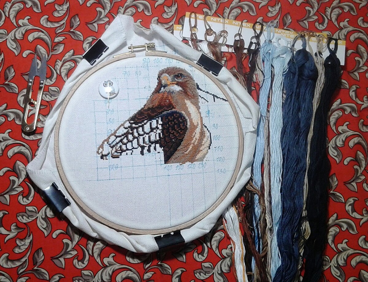 Мои продвижения на 30 ноября.