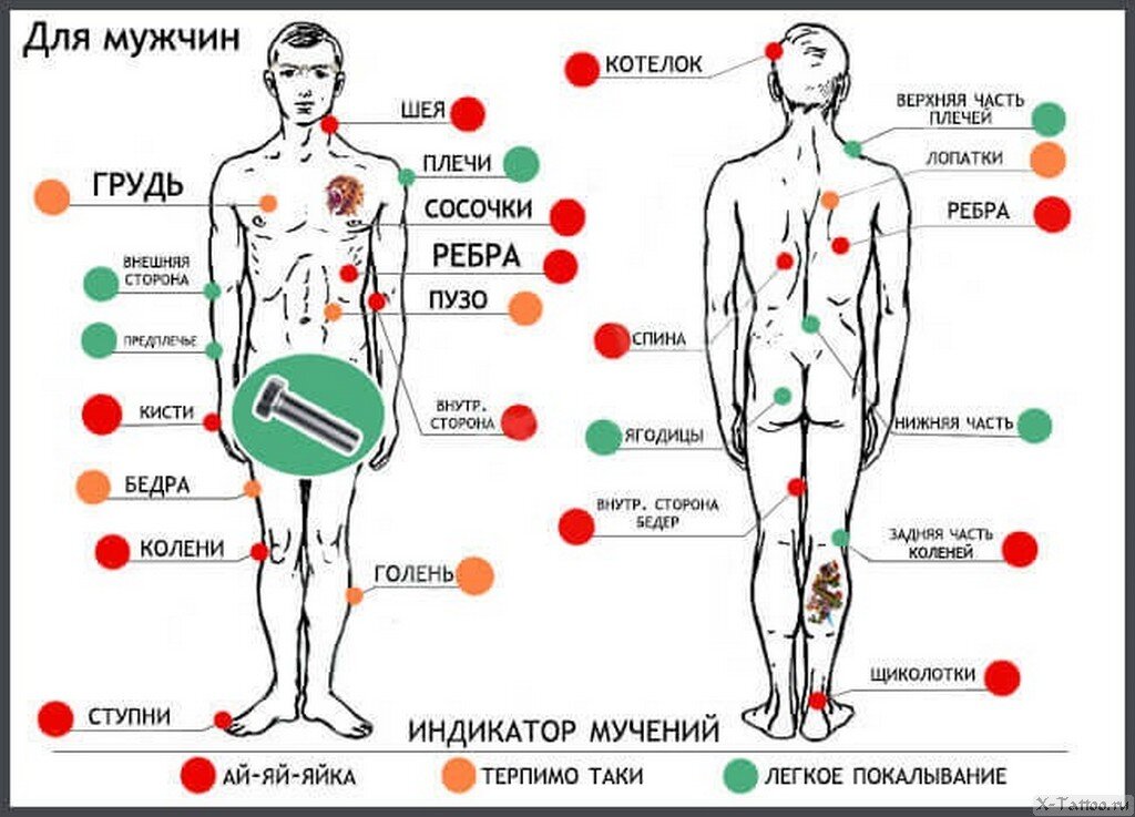 Карта боли тату - самые больные места для тату - Тату Порт