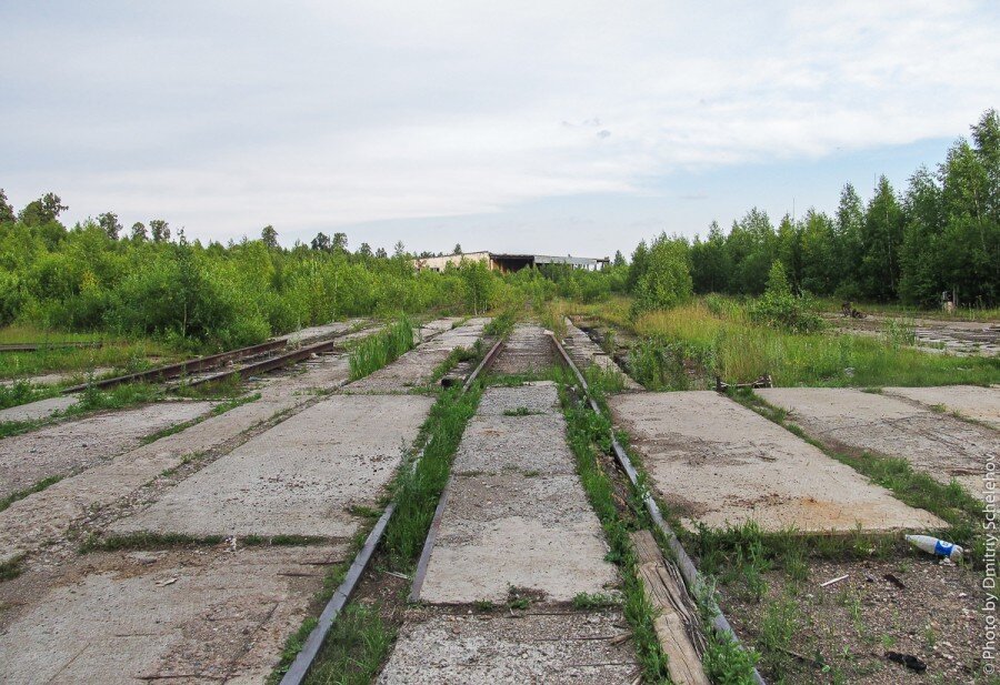 Топаем по рельсам и шпалам, которые вскоре заканчиваются, не потому, что их там не было, а потому, что они уже "утилизированы"