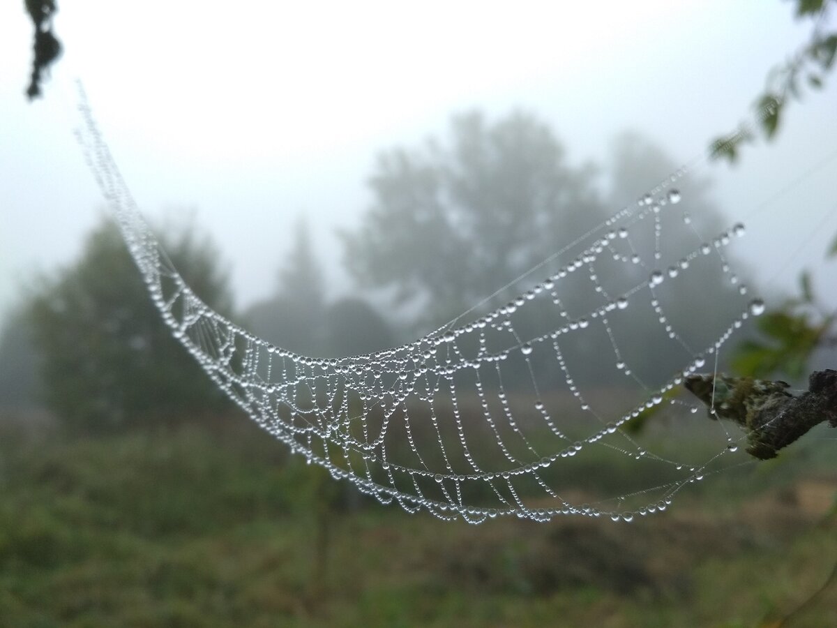 Фото из личного архива