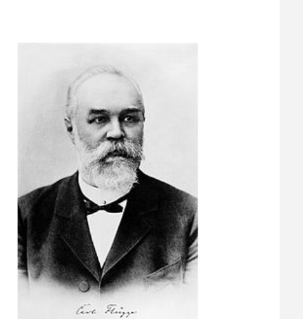 Карл Фрюгге