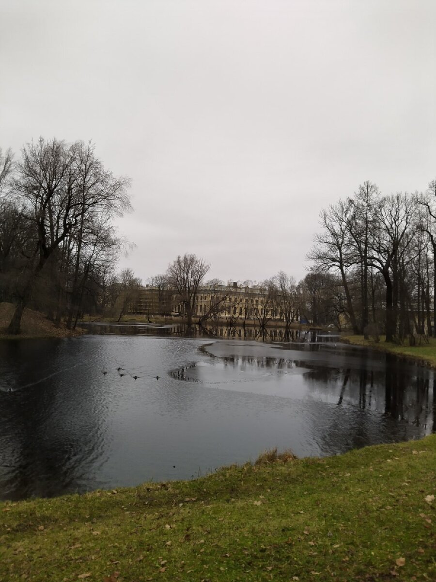 Александровский парк, дек.2020