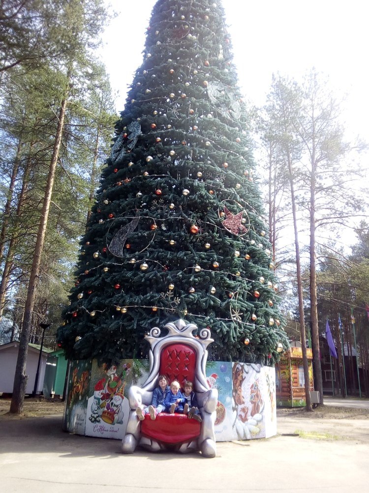 Территория вотчины Деда Мороза. Фото с ёлочкой можно сделать круглый год.