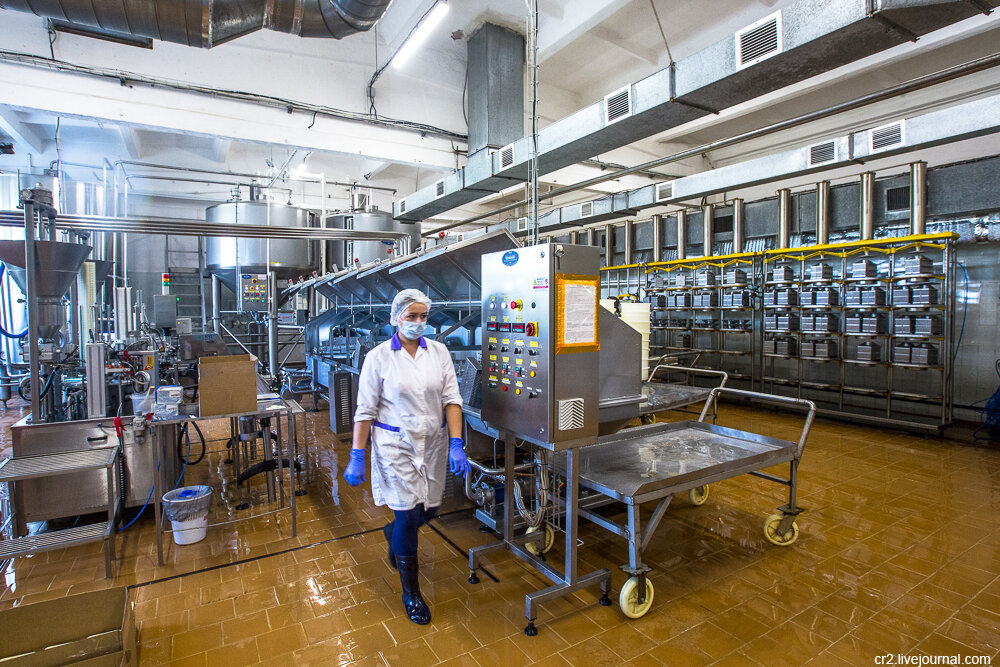 сырная лавка сернурский сырзавод. сырзавод сернурский сырзавод. продукция сернурского сырзавода. рачкова елена борисовна сернурский сырзавод. сернурский сырзавод марий эл.