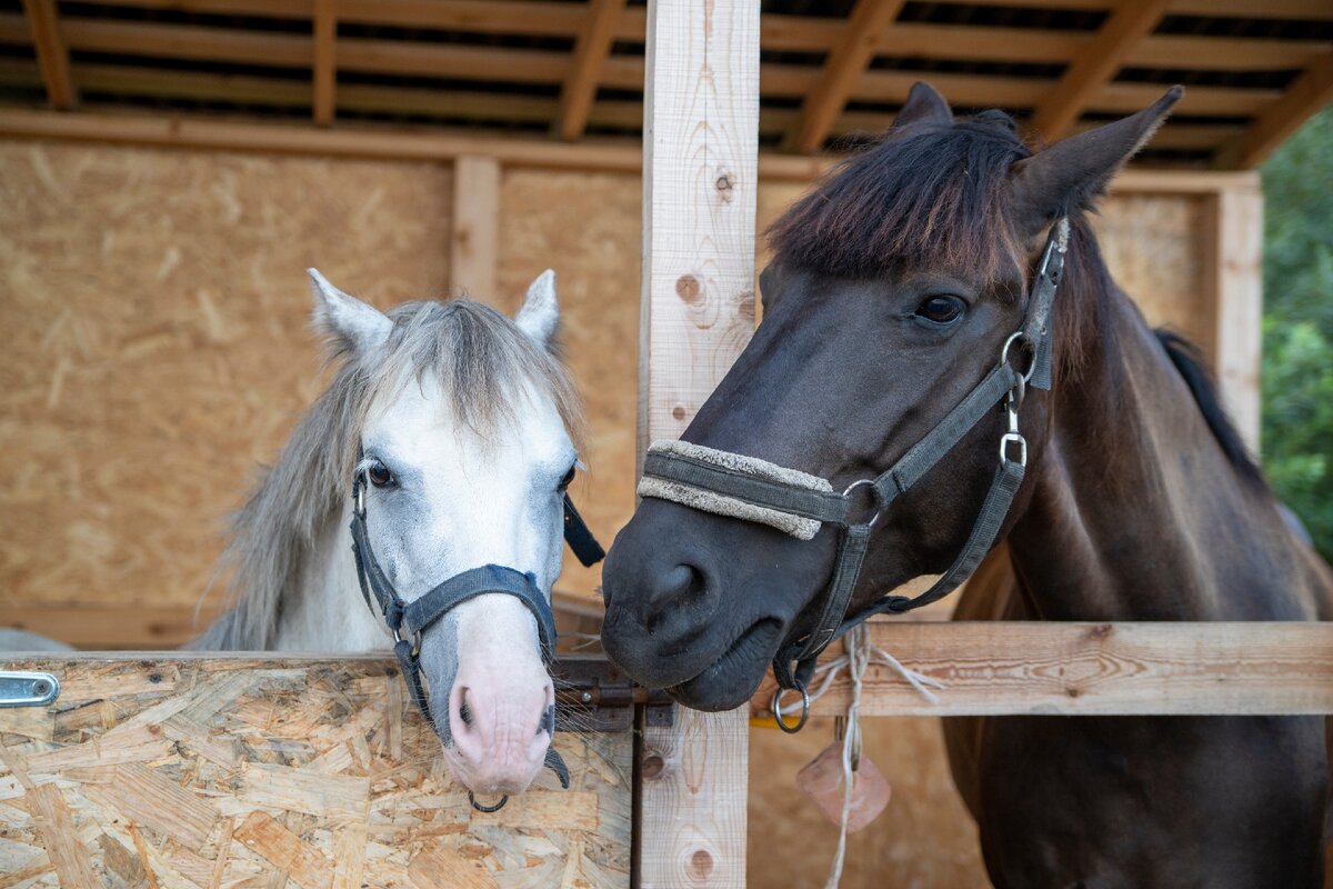  1 - Оригинальный размер фотографии