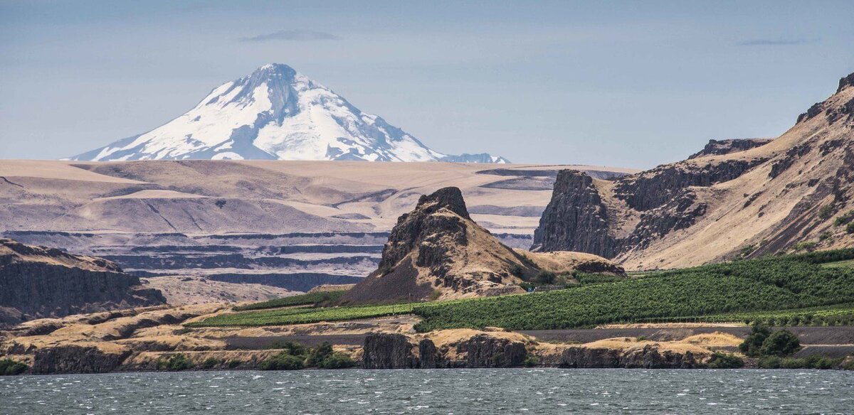 © Washington State Wine