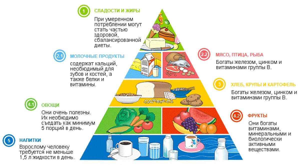 Рациональное питание | Академия Здоровья/Здоровье PRO | Дзен