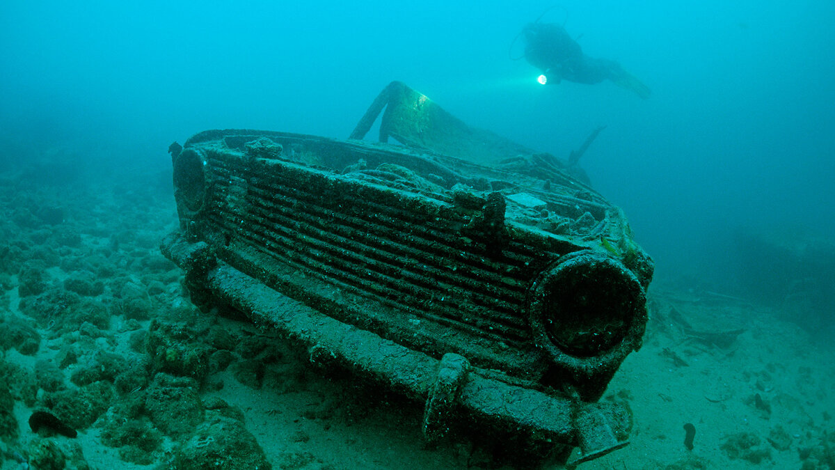 Фото с: https://yandex.ru/images