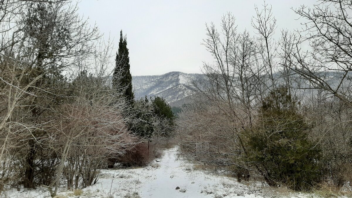 Кто не знает, подумал бы, что это в лесу. Фото автора.