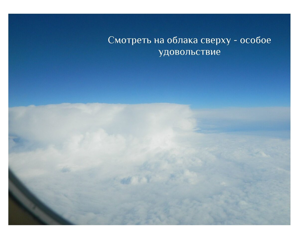 Фото автора. Редактирование https://www.canva.com/