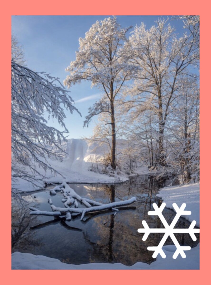 Фото с сайта  https://clck.ru/V52mX