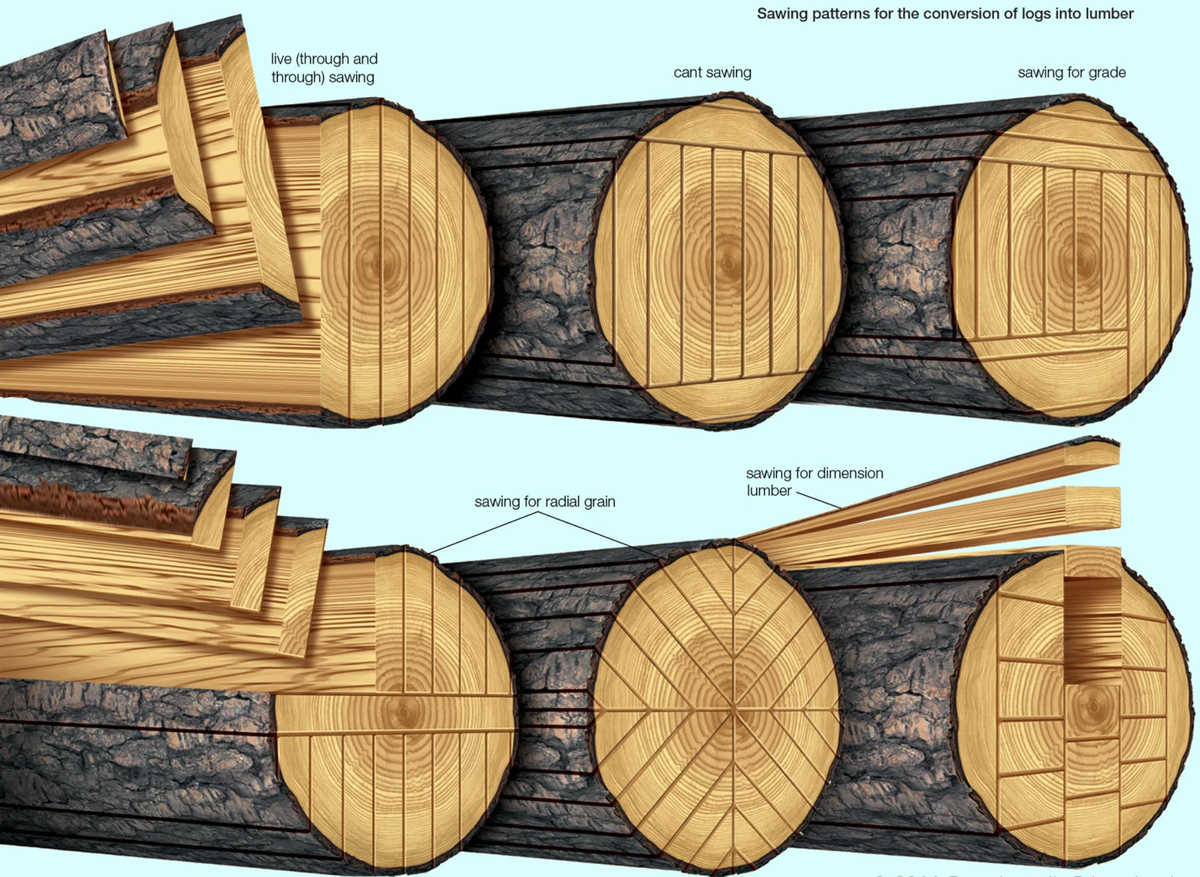 Виды пиломатериала из древесины