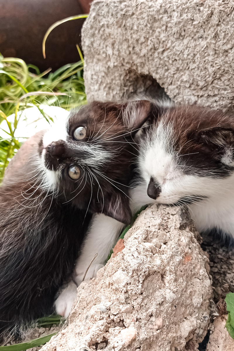 Достаточно просто поплакать и будешь хорошим? Сценарии жизни.заче