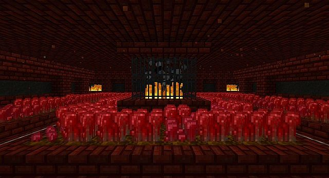 Просто плантации адского нароста. (фото из открытых источников)