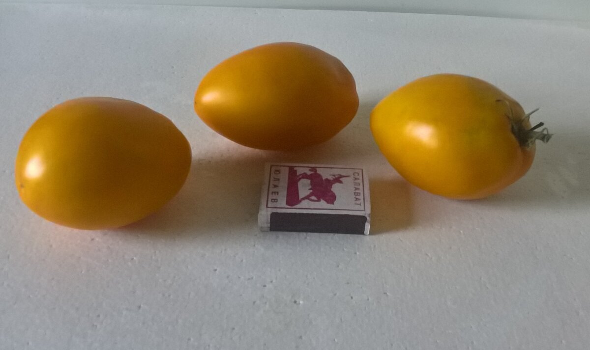 Томат Золотые яйца 2021