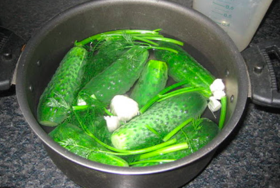 Добавьте описание