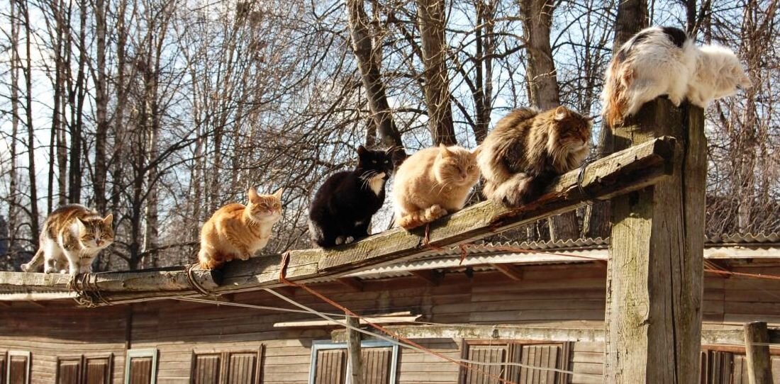 Ну примерно так.