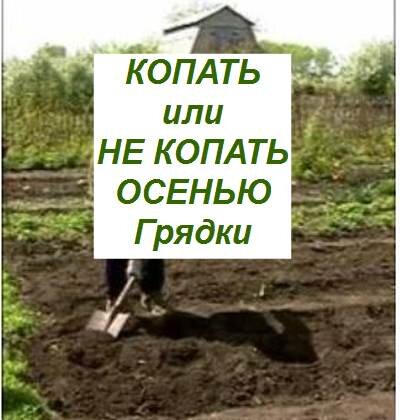 надо ли копать грядки осенью