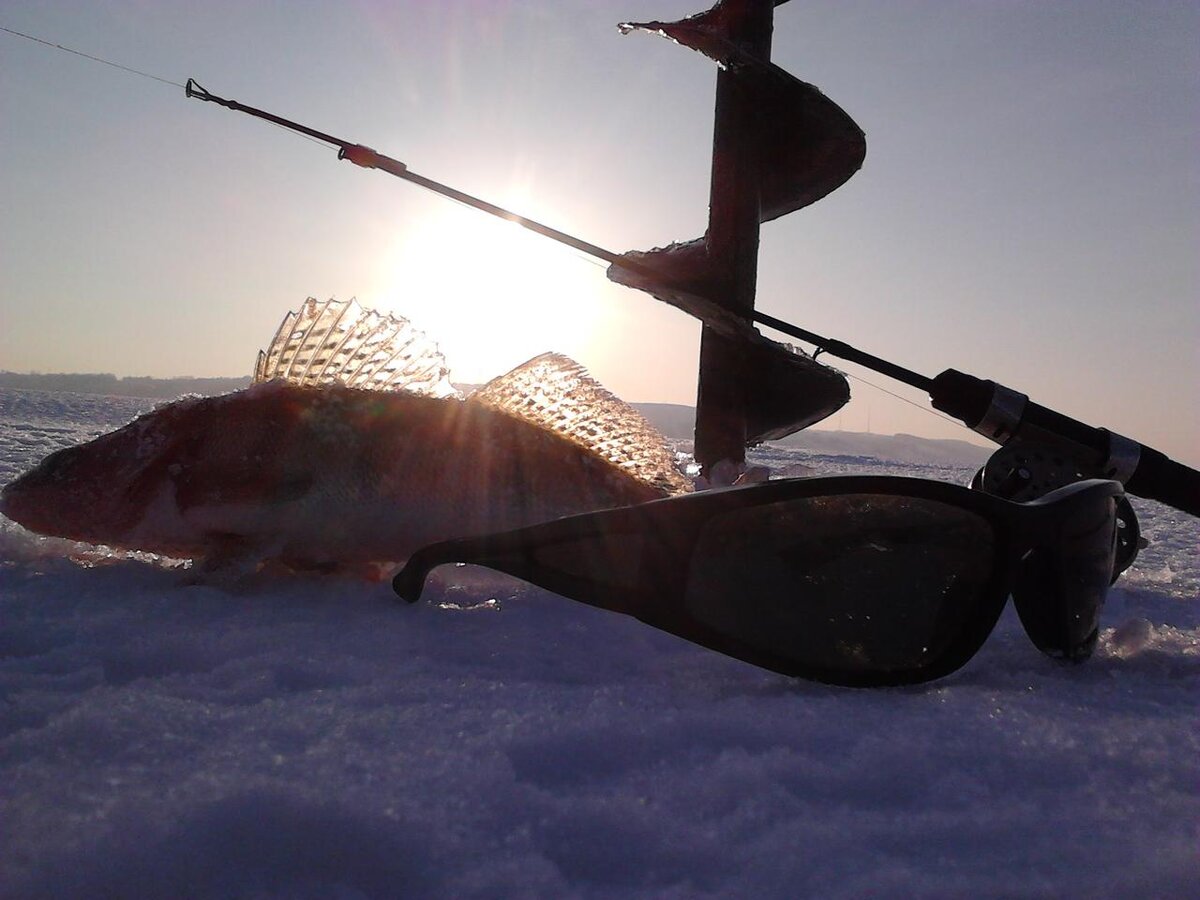 Фото автора. Бершик на льду