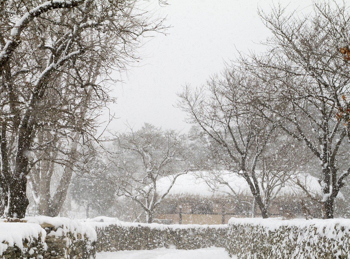 Изображение insil Lee с сайта Pixabay 