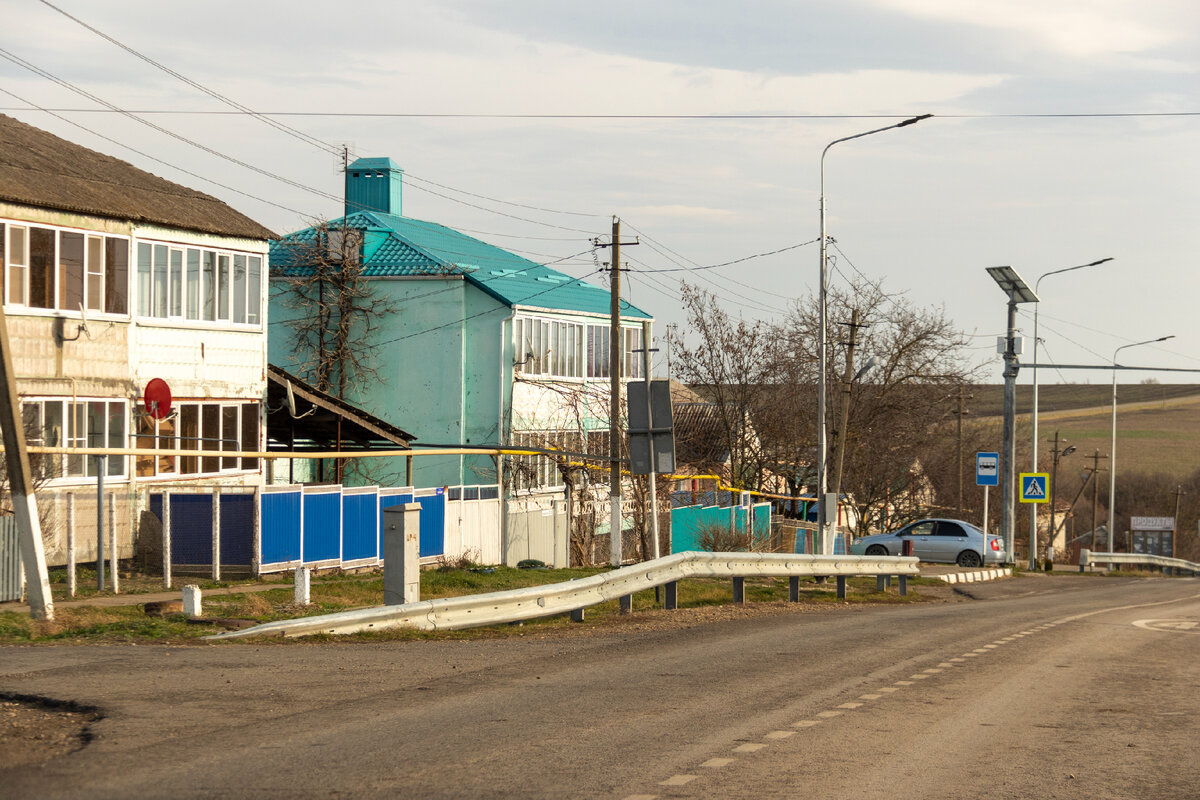 Село Русское – здесь сохранили дуб-великан возрастом 200 лет | Южная жизнь  | Дзен