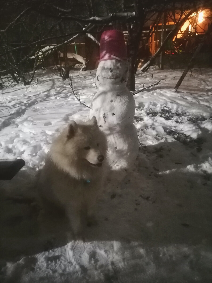 Мой ☃️😃 Буду сидеть и сторожить его 😃