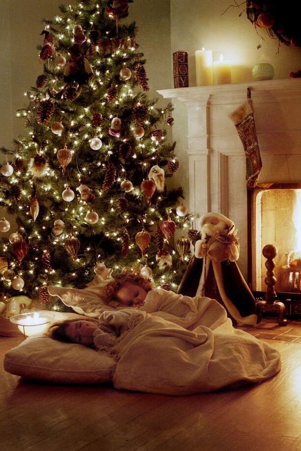 Год тигра 2022!