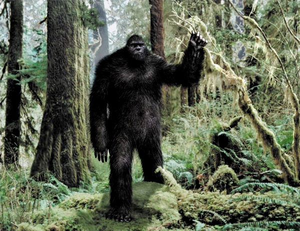 Источник яндекс картинки