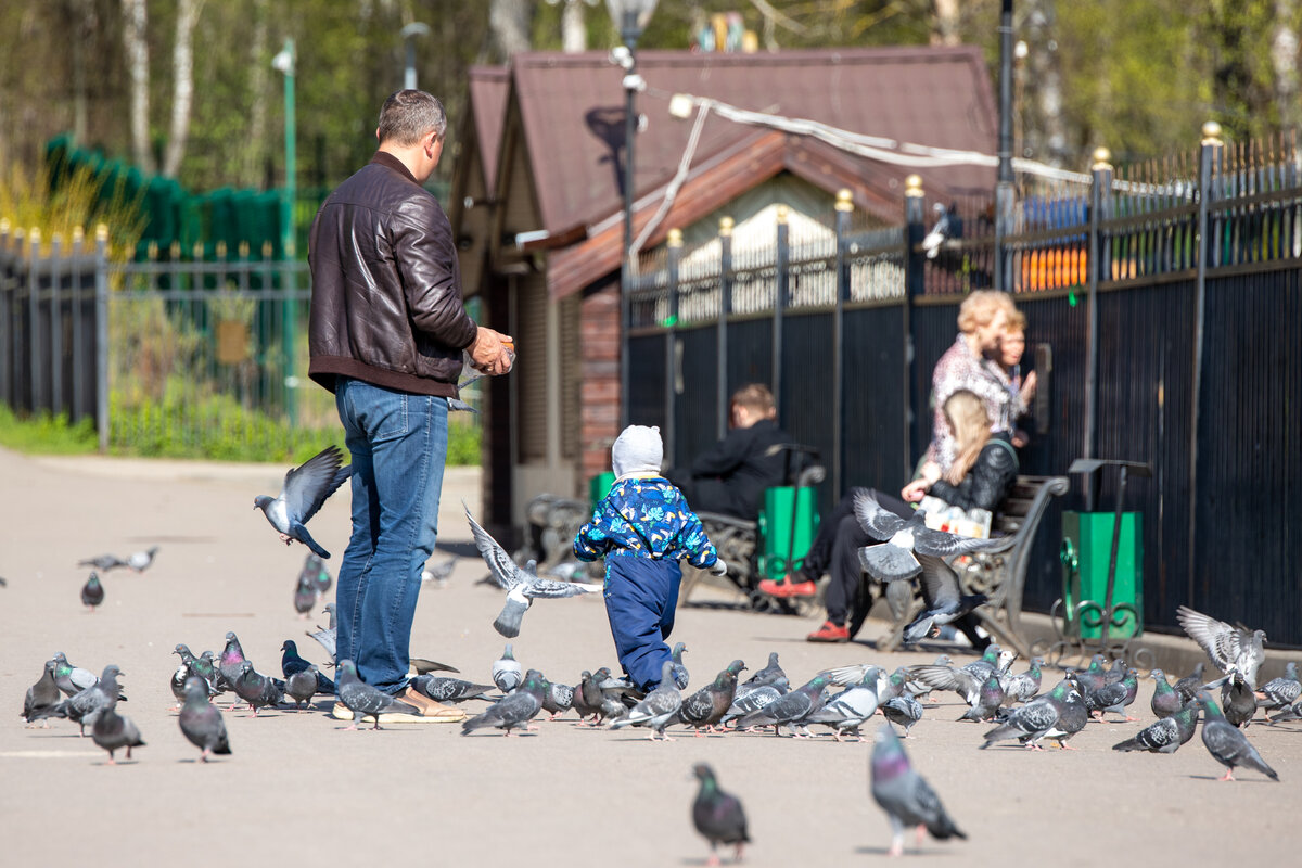 Фото: Тульская служба новостей