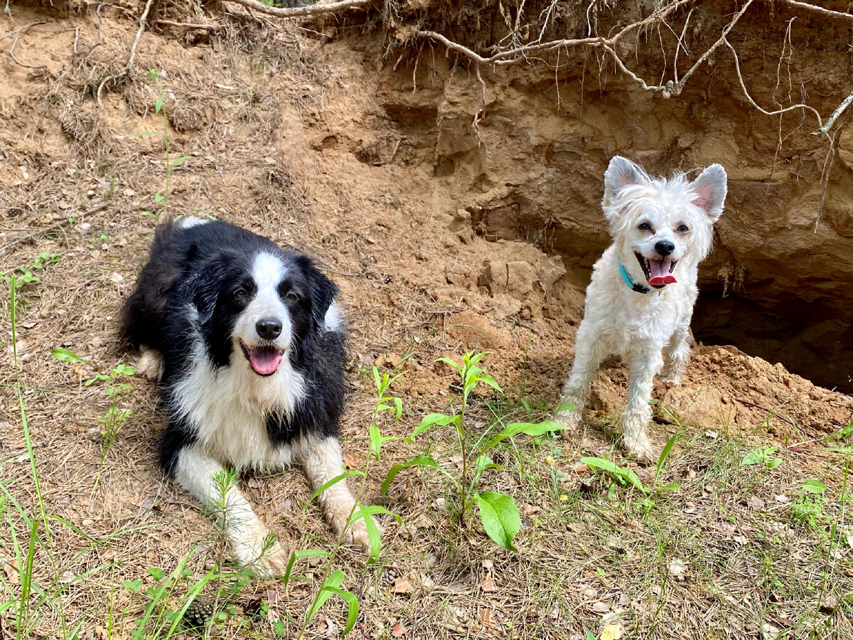 Баста с Фионой гуляют