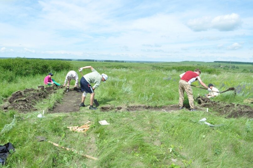 Раскопки в 2017 г.