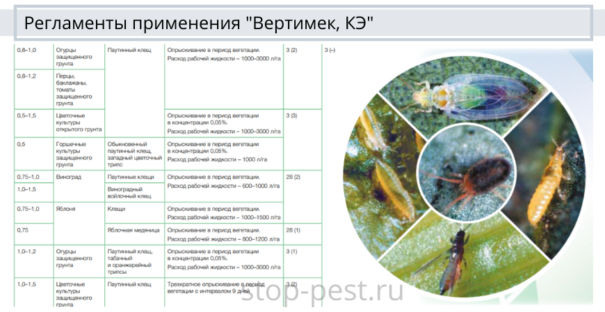 Вертимек 10 мл. Вертимек препарат инструкция. Вертимек инсектицид инструкция. Пестицид вертимек.