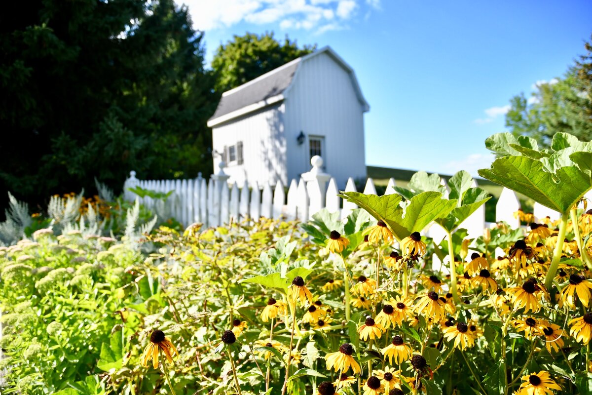 Спасибо за лайки и подписку! Нам очень приятно!