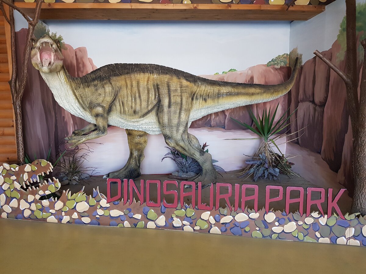 Вот такой красавчик встречает нас на входе