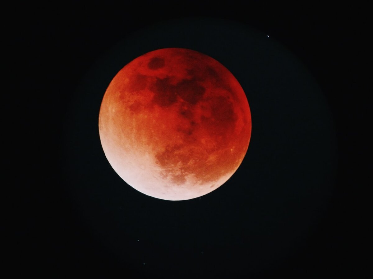 https://images.unsplash.com/photo-1523597020744-b68b1edd3e1c?ixlib=rb-1.2.1&ixid=eyJhcHBfaWQiOjEyMDd9&auto=format&fit=crop&w=1267&q=80