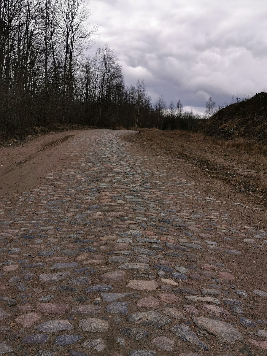 Дорога до карьера