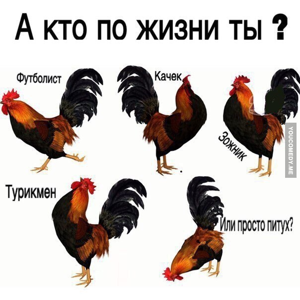 Петух на турнике