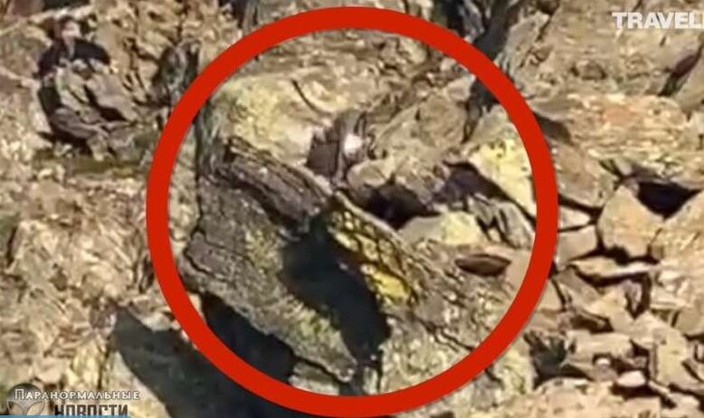 Источник фото salik.biz