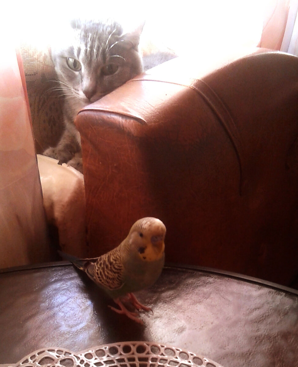 Из личного архива.