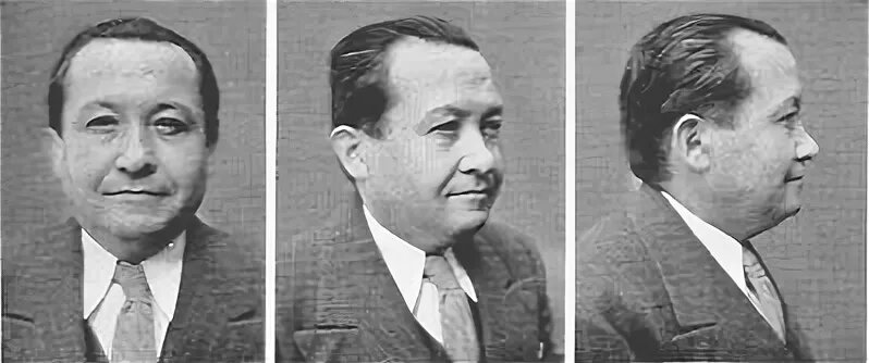 альпинид фенотип. альпинид. альпинид внешность. альпинид нордид. альпинид раса.