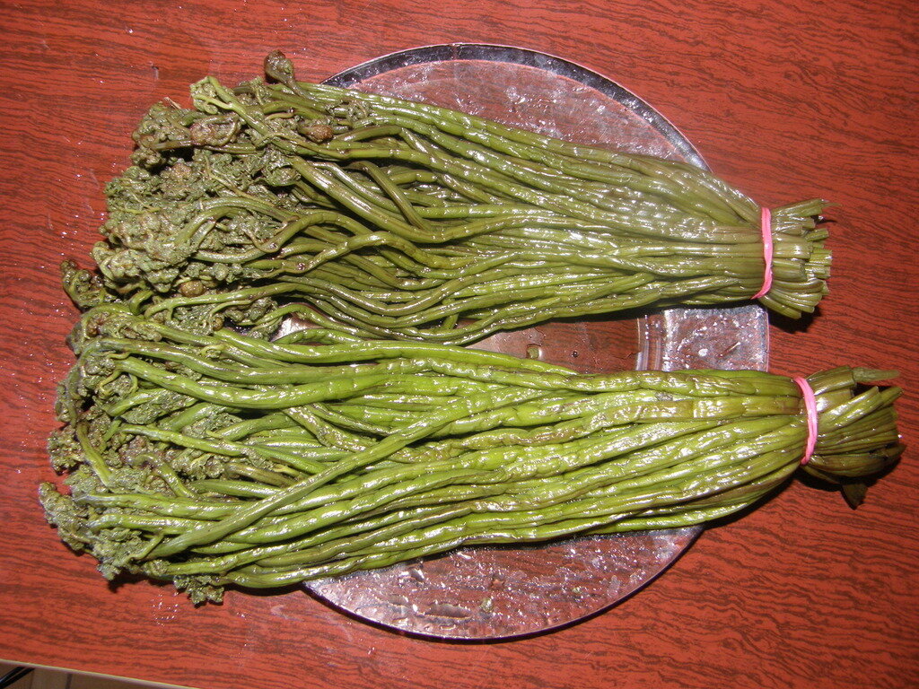 Фото из свободного доступа