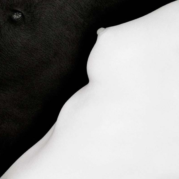 Эрик Марриан. Серия «Белый квадрат» (2003-2018)