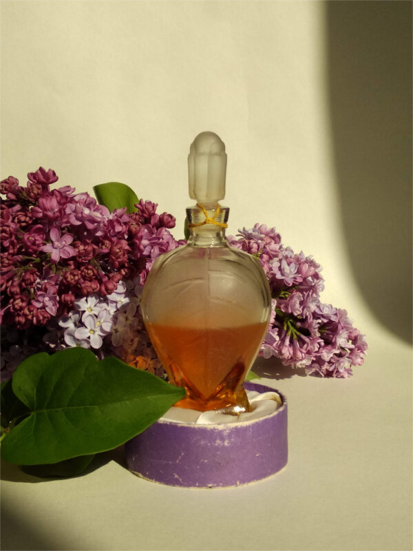Рижская сирень духи картинки