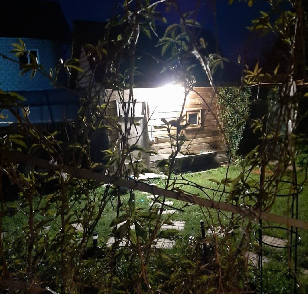 В баньку - как по ковру , босиком...